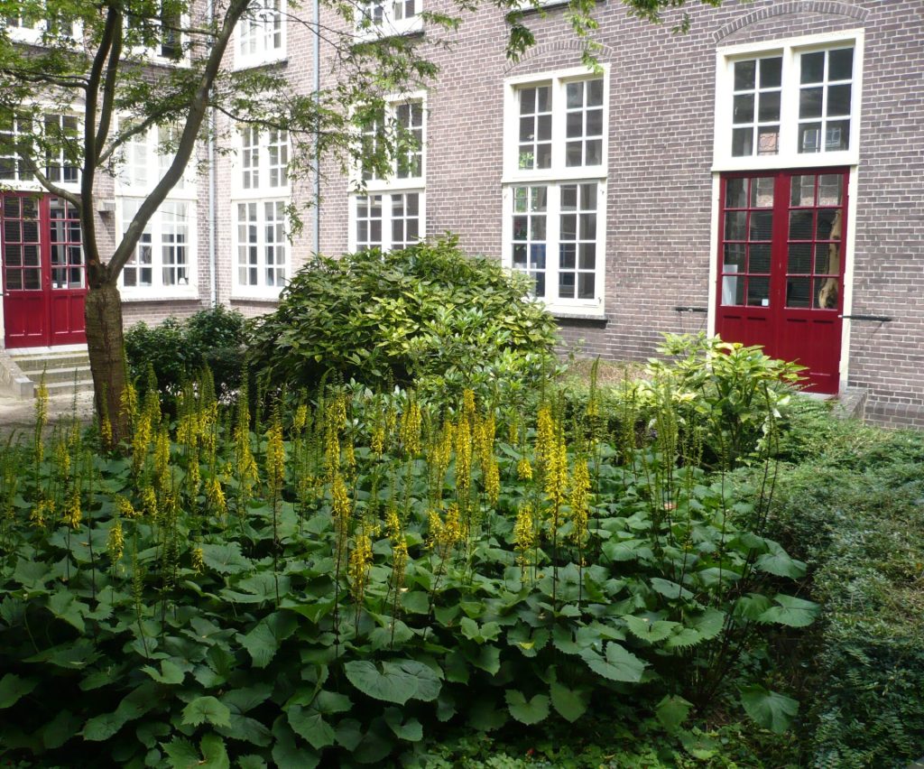 Informatie Stadsherstel beschikbaar