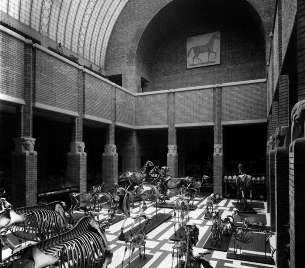 Het Anatomiegebouw