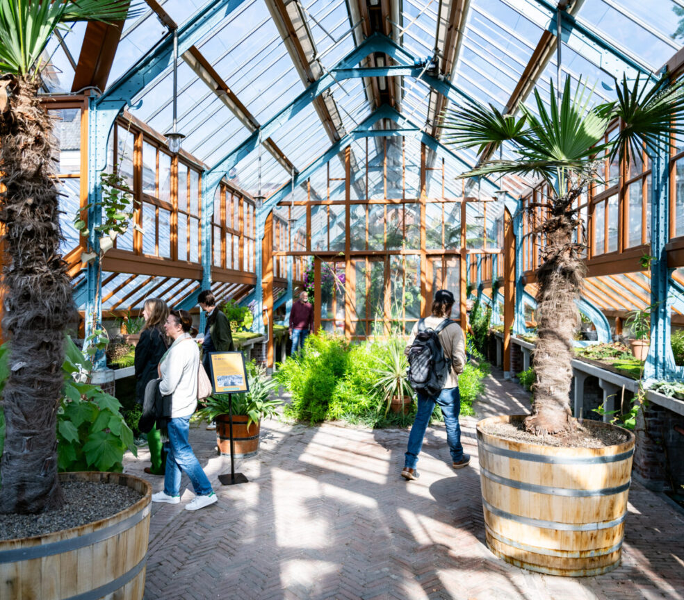 De Oude Hortus / Universiteitsmuseum UMU