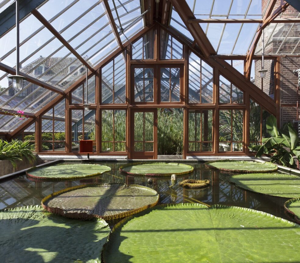 De Oude Hortus / Universiteitsmuseum UMU