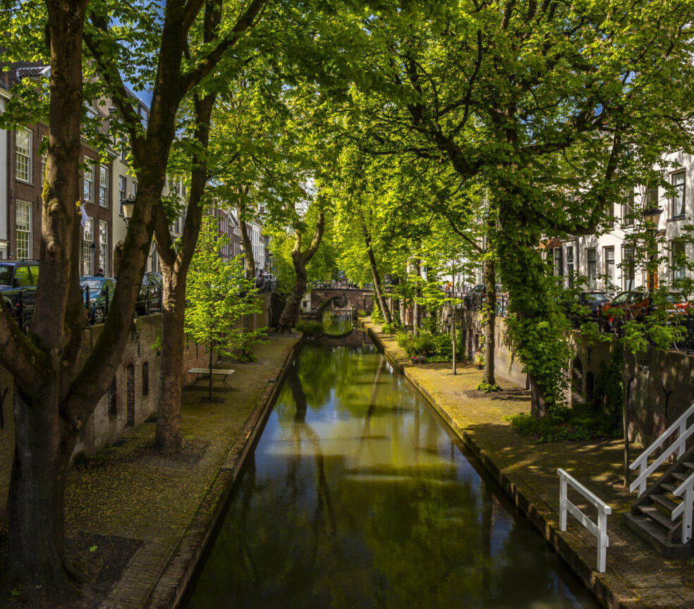 Stadswandeling historisch wervengebied